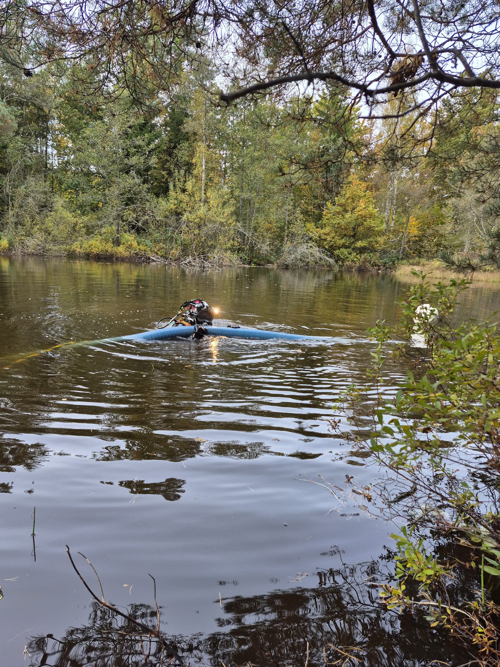 Muddring i sjö